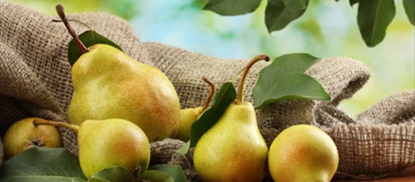 Τα 7 οφέλη που έχουν για την υγεία σου τα αχλάδια